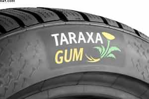 continentals dandelion tyres